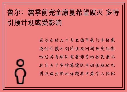 鲁尔:詹季前完全康复希望破灭 多特引援计划或受影响 鲁尔:詹季前完全康复希望破灭 多特引援计划或受影响